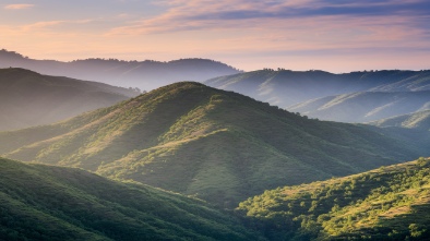 enchanted hills